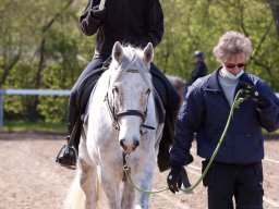 IMG_1625_web